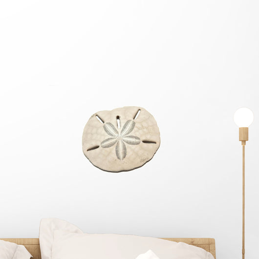 Sanddollar