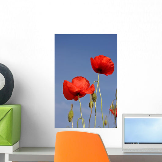 Mohnblumen Wall Mural