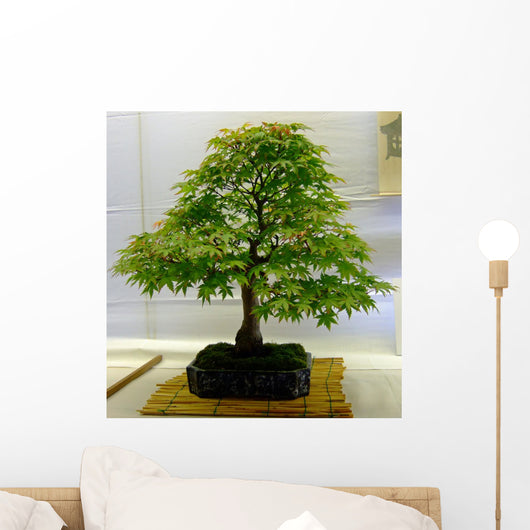 bonsai tree Wall Mural