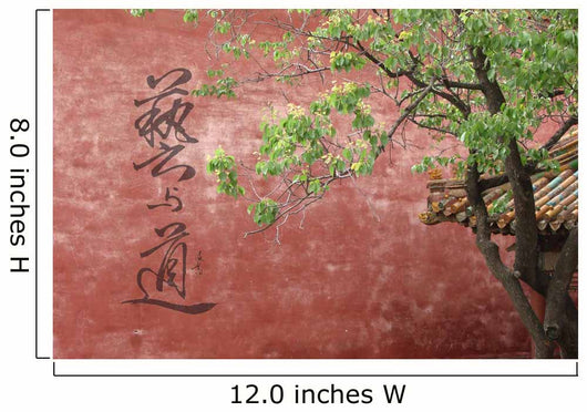 Chine Wall Mural