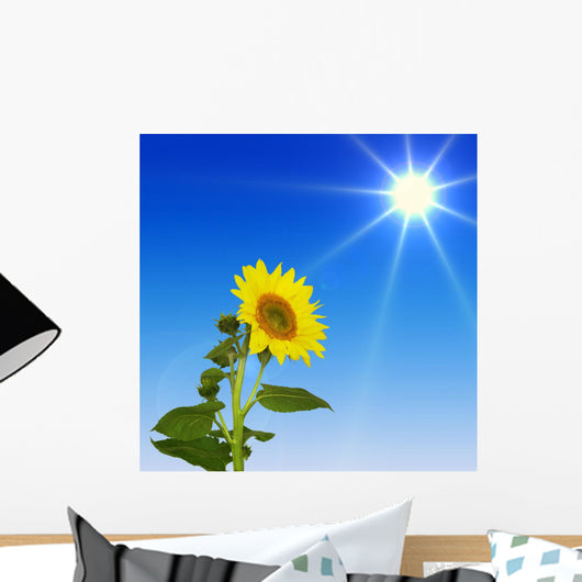 Sonnenblume Bei Sonnenschein