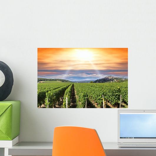 Sunset Vineyard