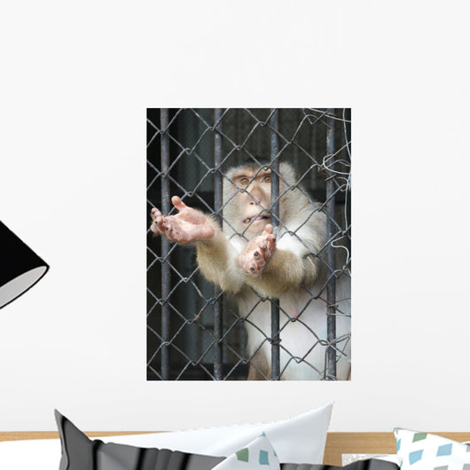 Monkey Wall Mural