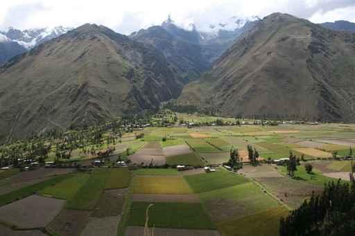 Sacred Valley Wall Decal