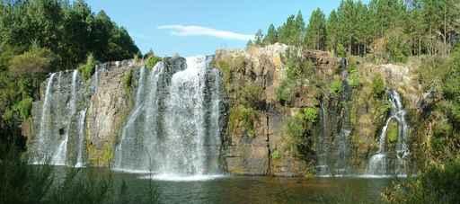 Forest Falls Dans Le Wall Decal