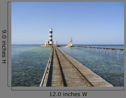 Lighthouse Tropical Coral Reef