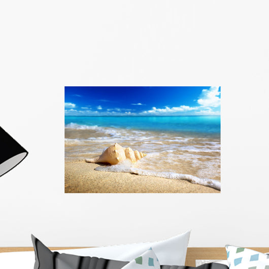 Seashell Beach Shallow Dof