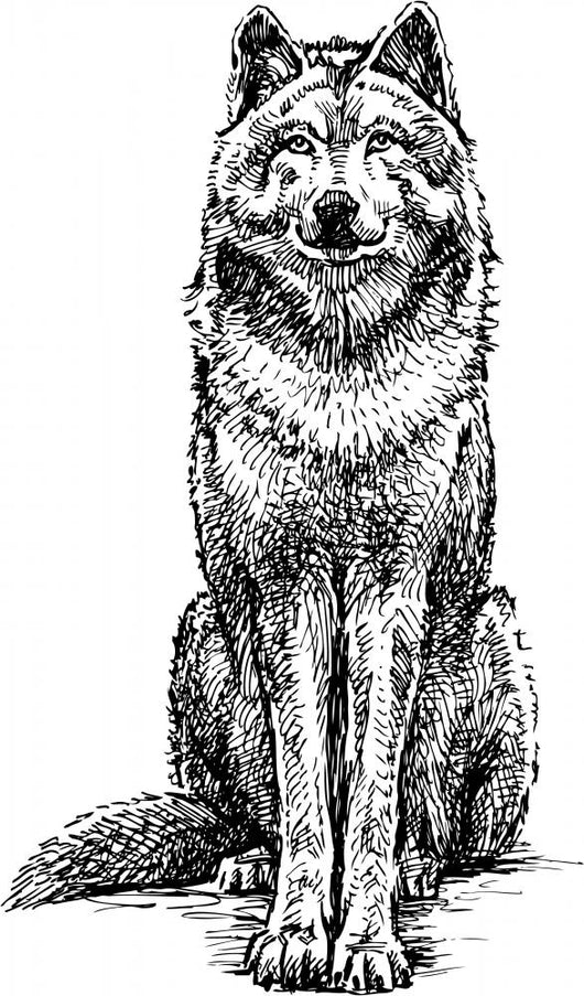 Black and White Sitting Wolf Sketch Wall Decal