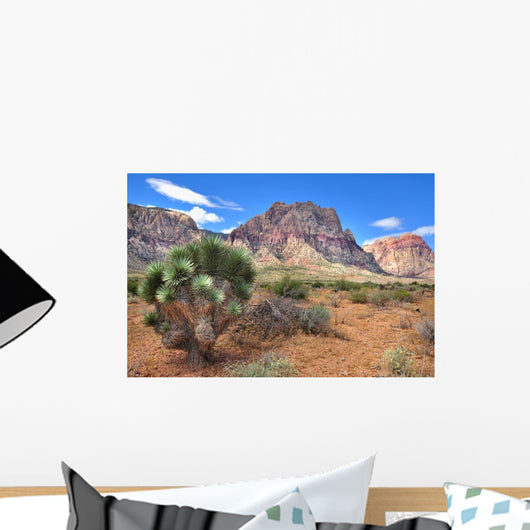 Southwest Desert Landscape