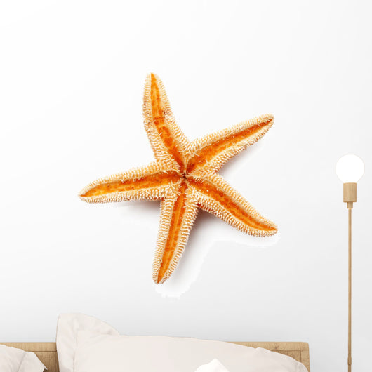 Starfish