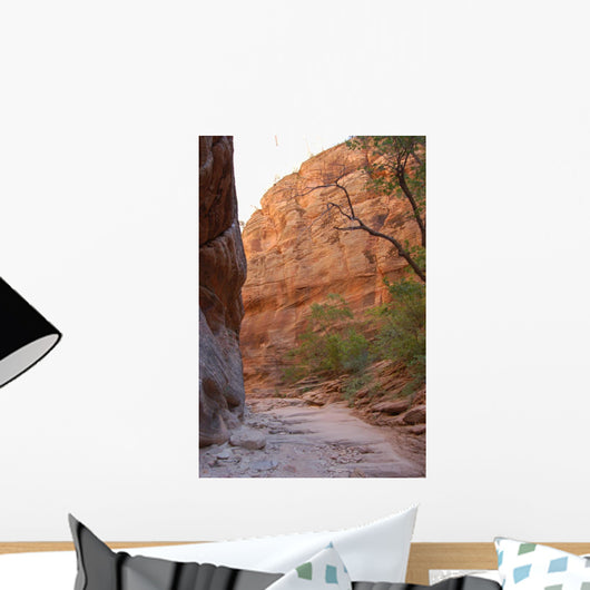 Zion Canyon Wall Mural