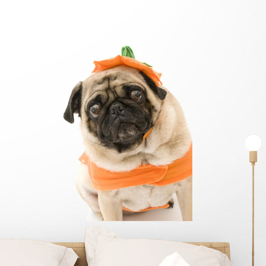 Pumpkin Pug Wall Decal