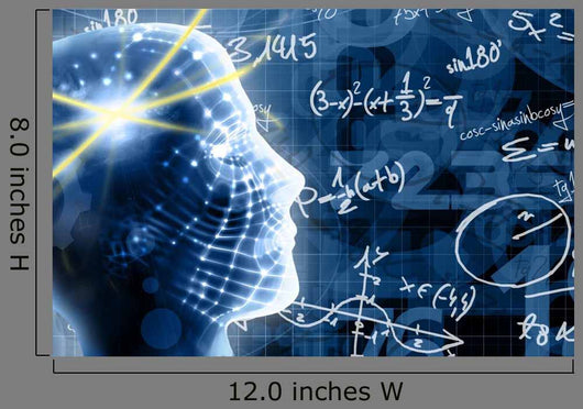 Learn Math Concept Wall Mural