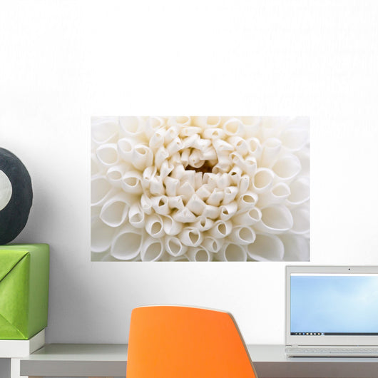 White Bridal Flowers Dahlias