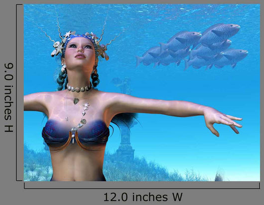 Mermaid Dreams