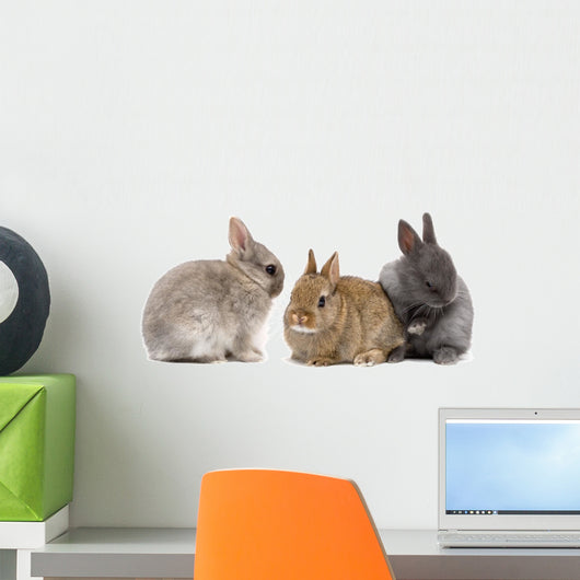 bunnies 02 Wall Decal