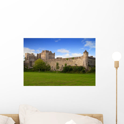 Cahir Castle County Tipperary