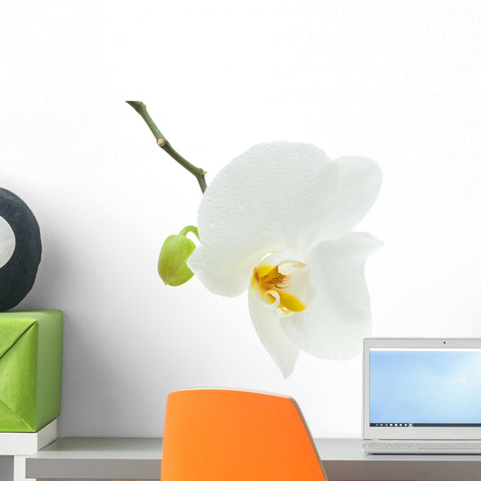 White Orchid Flower Wall Decal