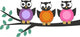 Owls Wall Mural
