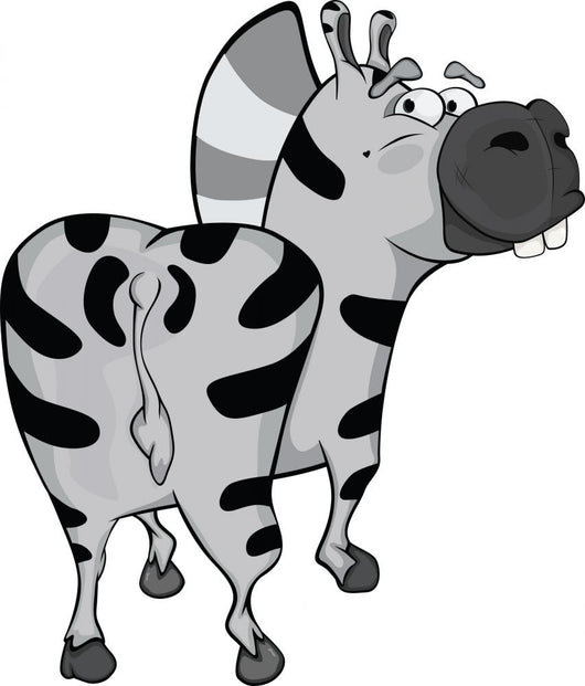Zebra Cartoon
