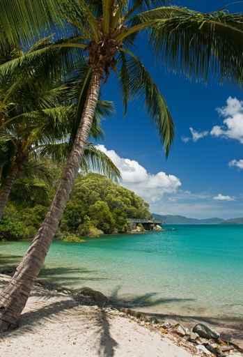 Tropical Beach Wall Decal Design 1