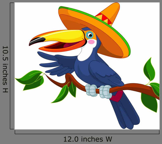 Toucan with Sombrero