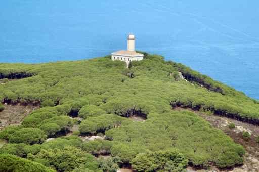 Isola Del Giglio Wall Decal