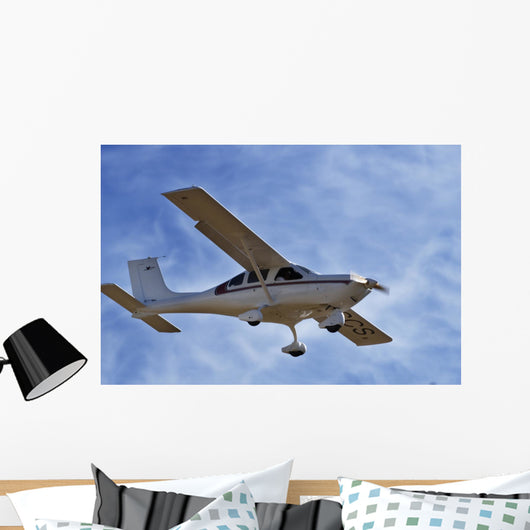 avion Wall Mural
