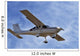 avion Wall Mural