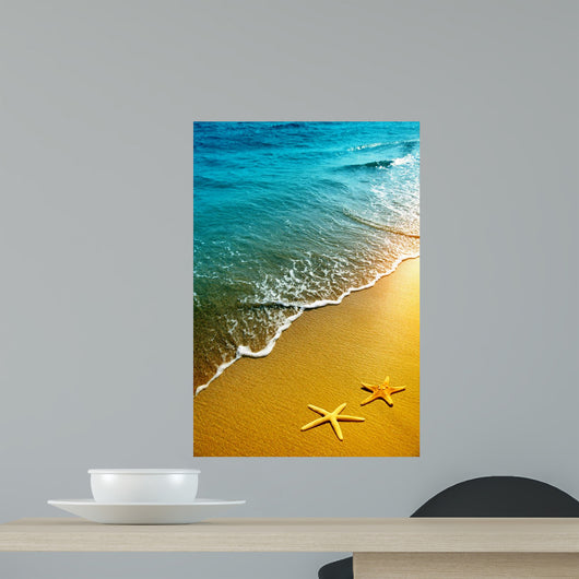 Starfish Beach Sand