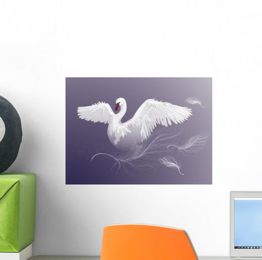 Swan Beautiful White Bird