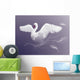 Swan Beautiful White Bird