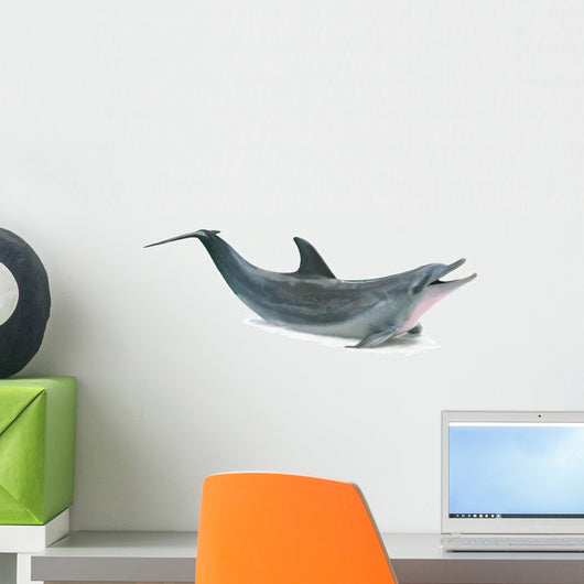 Dolphin Breach 1Wall Decal