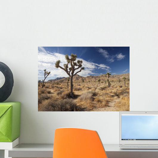 Joshua Trees Yucca Brevifolia