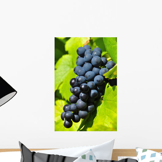 Grapes
