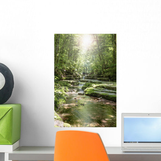 Stream Forest