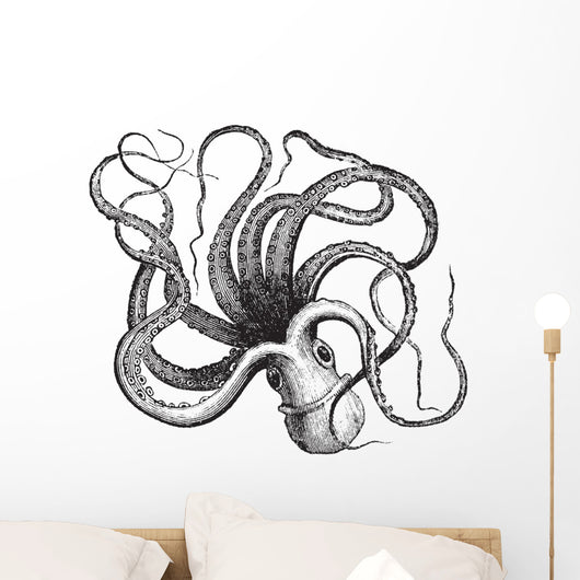 Common octopus (Octopus vulgaris), vintage engraving. Wall Decal