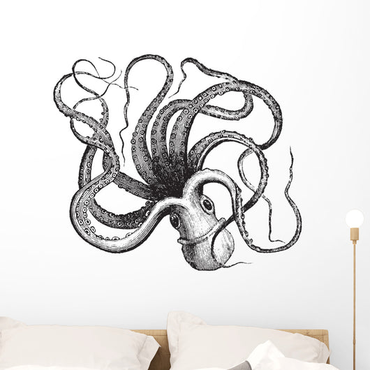 Common octopus (Octopus vulgaris), vintage engraving. Wall Decal