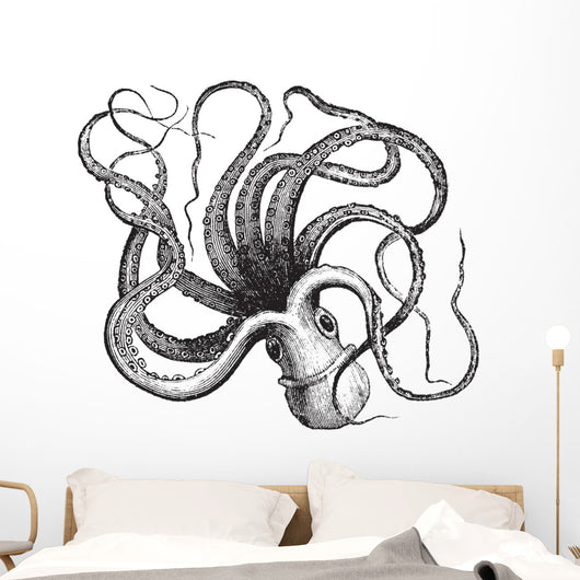 Common octopus (Octopus vulgaris), vintage engraving. Wall Decal