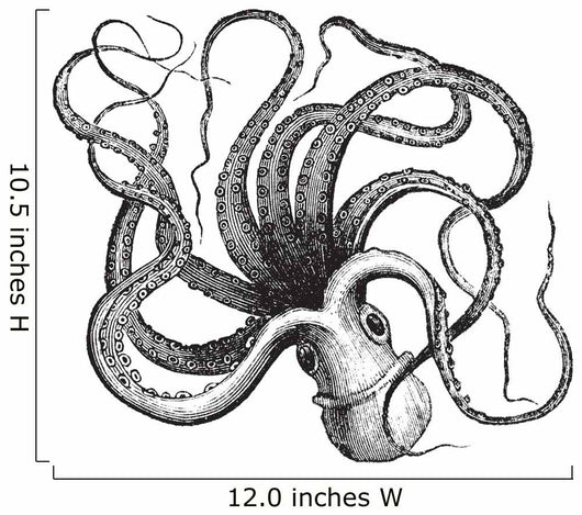 Common octopus (Octopus vulgaris), vintage engraving. Wall Decal