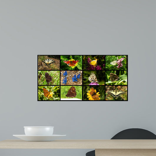 Butterflies Wall Mural