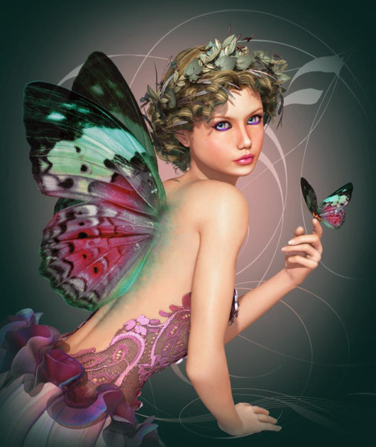 Meet Butterfly
