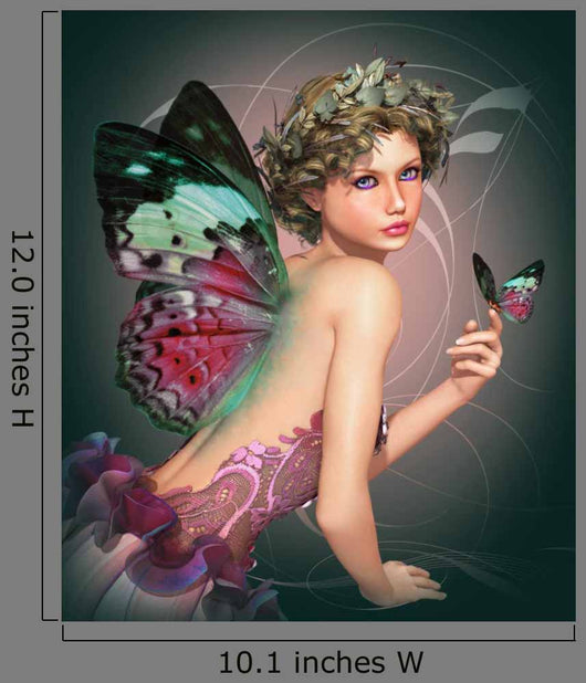 Meet Butterfly