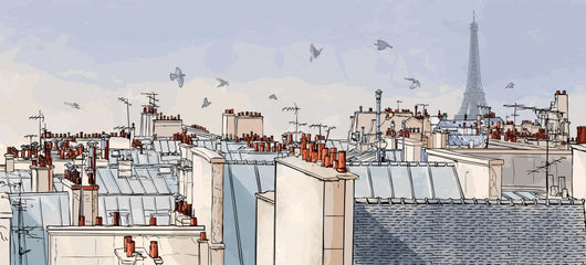 France Paris Roofs