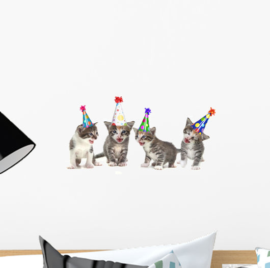 Birthday Song Singing Kittens on White Background Wall Decal
