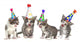 Birthday Song Singing Kittens on White Background Wall Decal