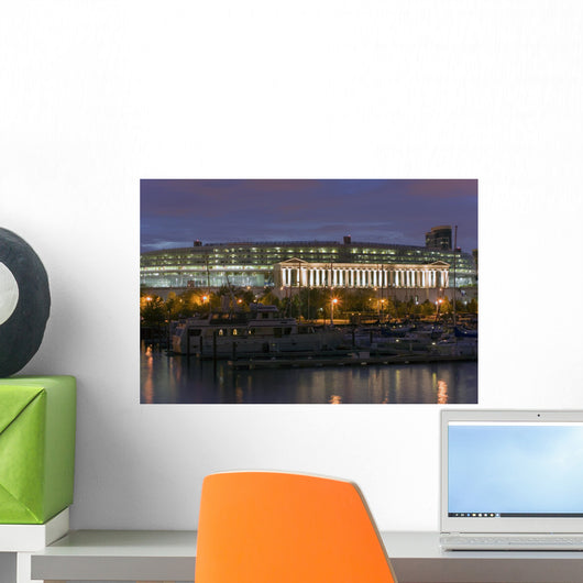 soldier field, chicago Wall Mural