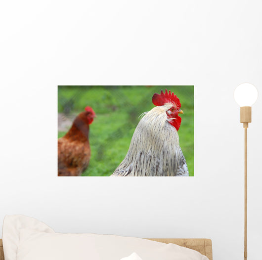 Rooster and Hen