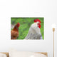 Rooster and Hen