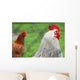 Rooster and Hen